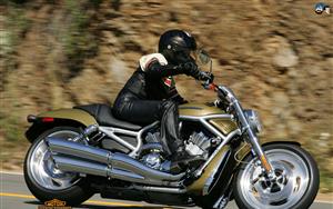 Harley Davidson